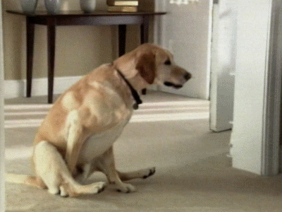 download.gif