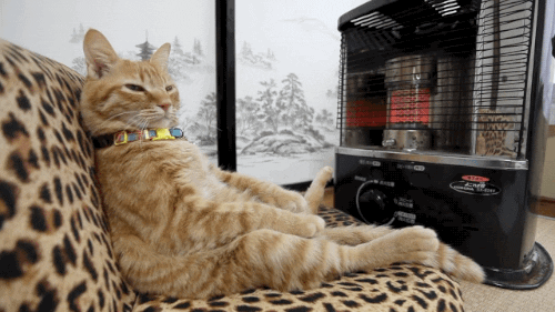 download.gif