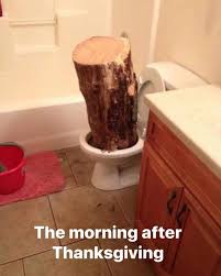 download.jpeg-37.jpg