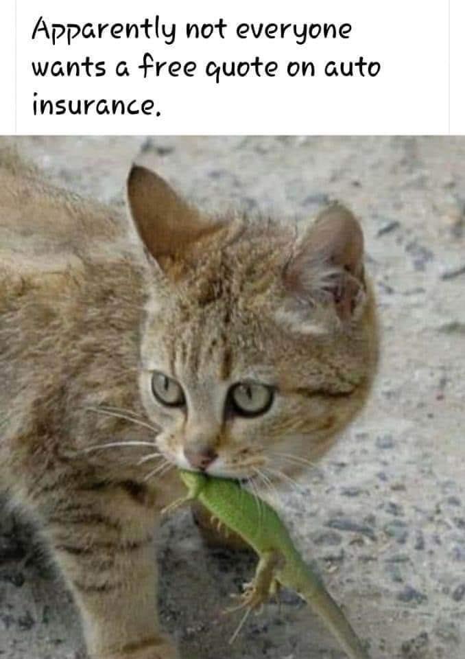download.jpg