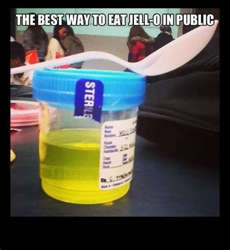 downloadfile-20.jpg