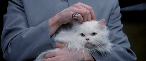 Dr Evil Cat.gif