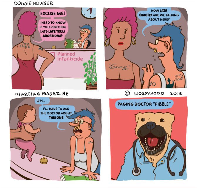 dr pibble.jpg
