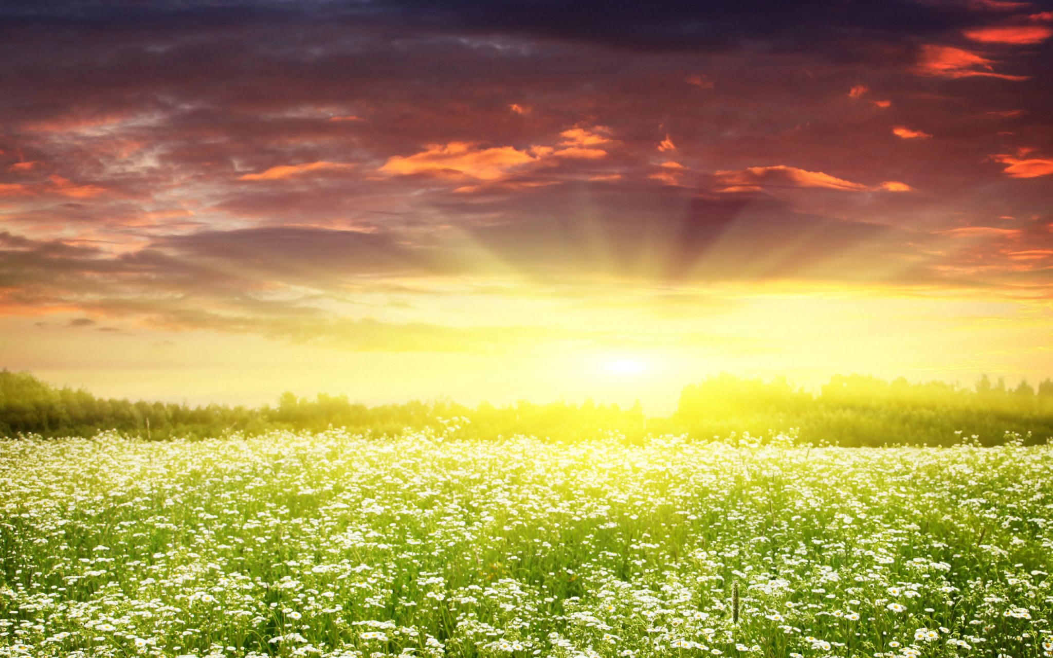 dream-spring-2012-sunrise-ii_2560x1600_96737.jpeg