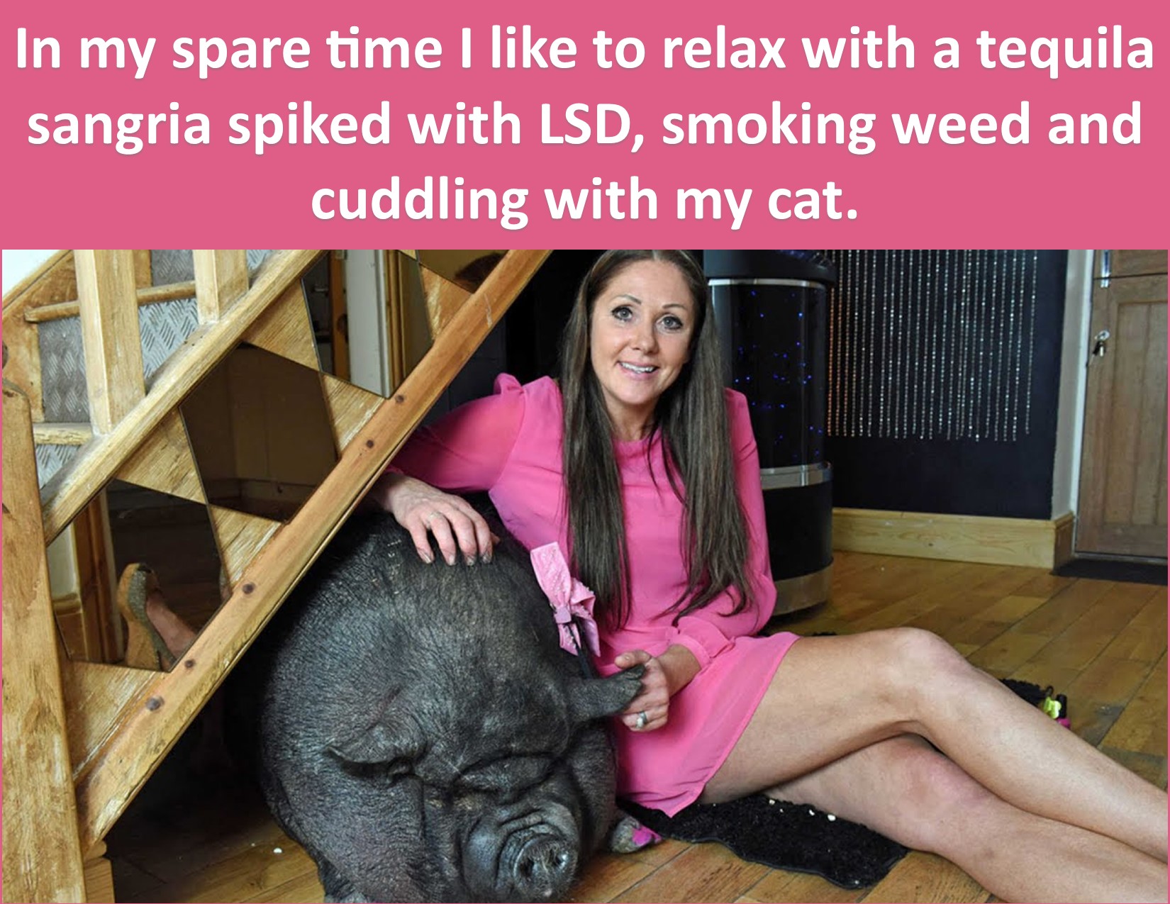 Drugs and Cat.jpg