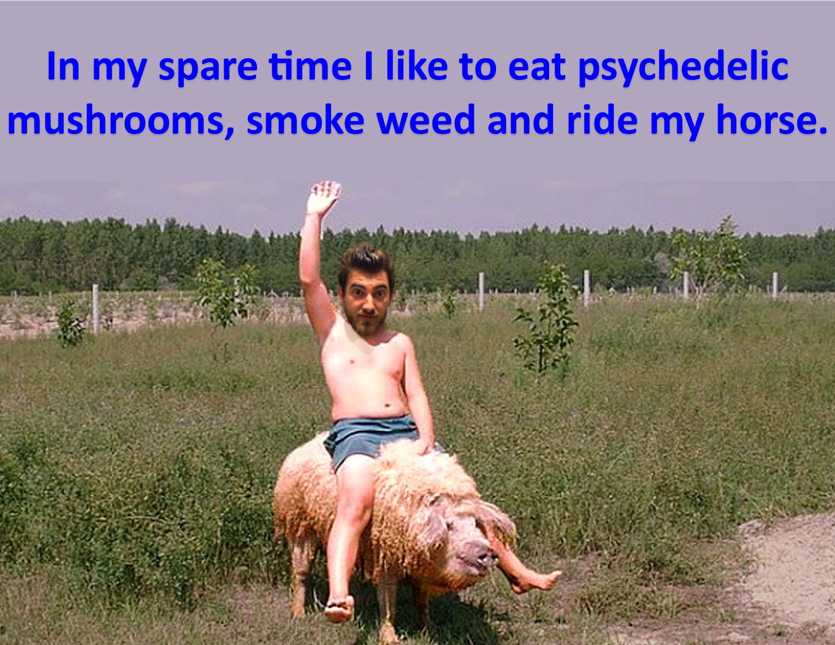Drugs and Horseback Riding.jpg