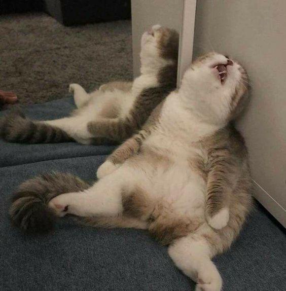 drunken_stupor.jpg