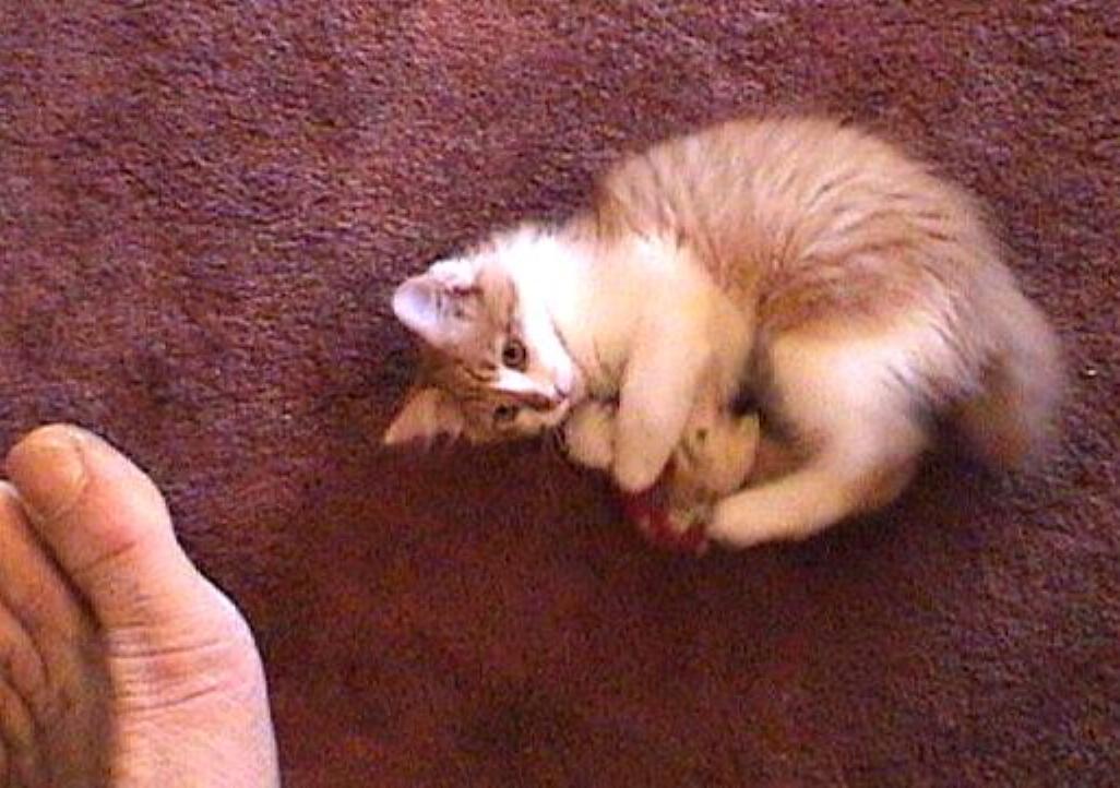 DSC00120.JPG