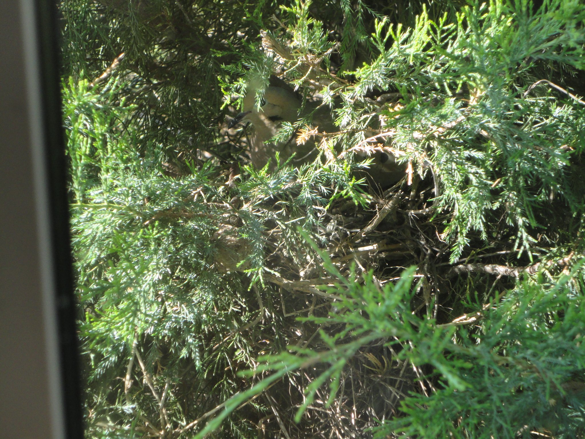 DSC03132.JPG