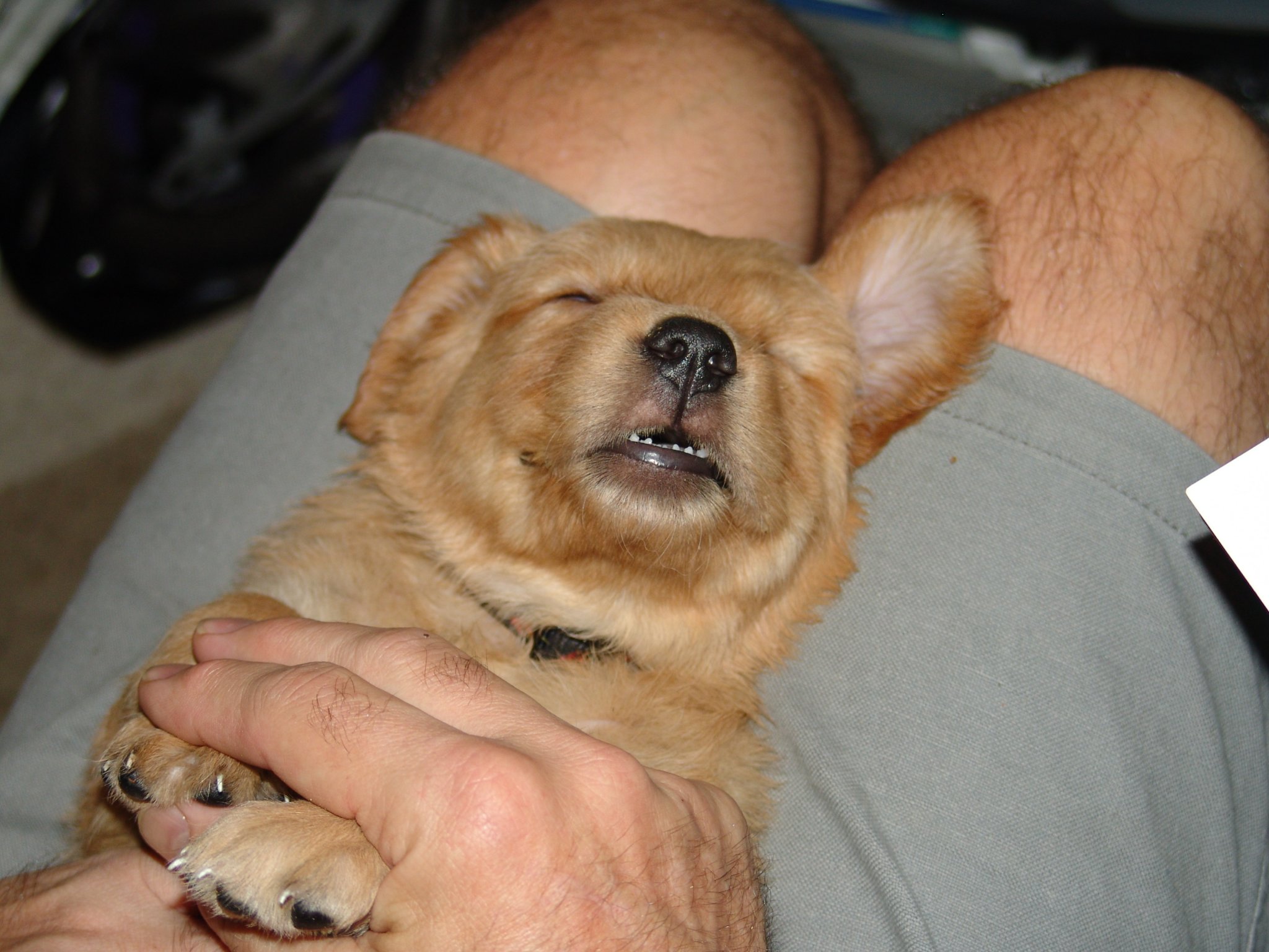 DSC04648.JPG