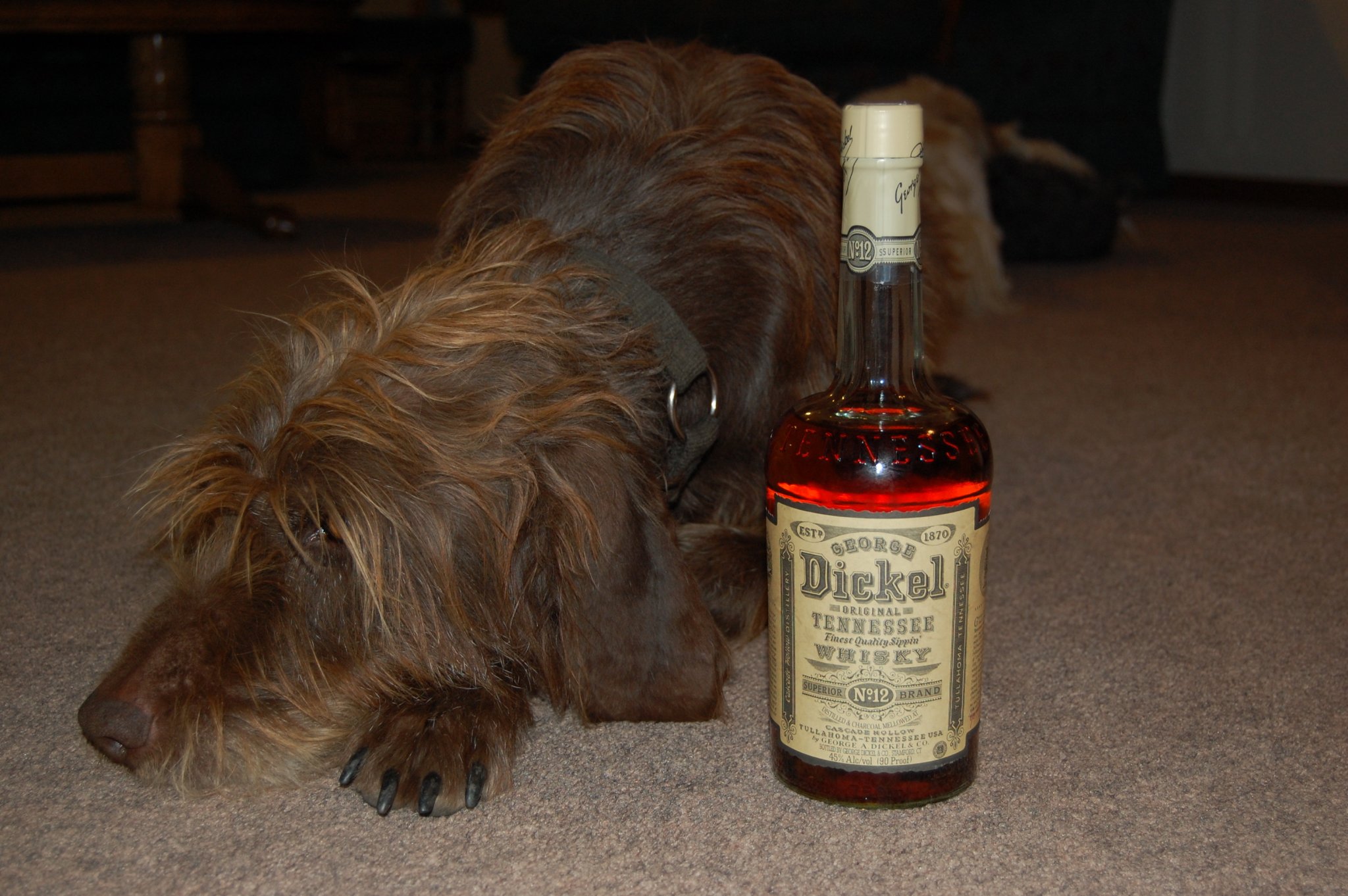 DSC_0001.JPG