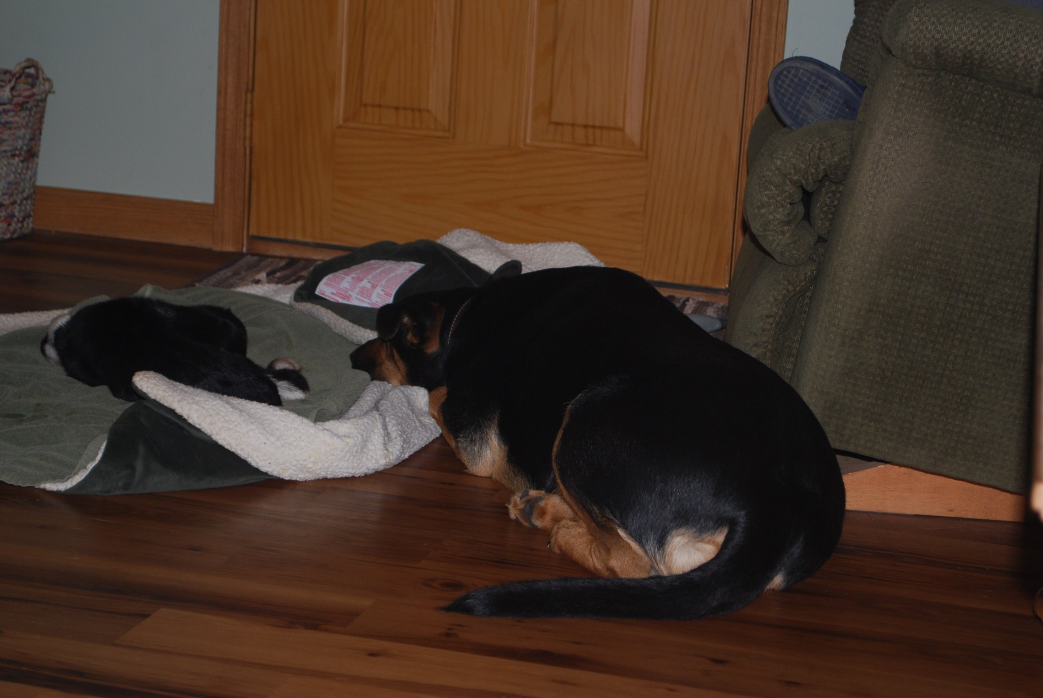 DSC_0007 (12).jpeg
