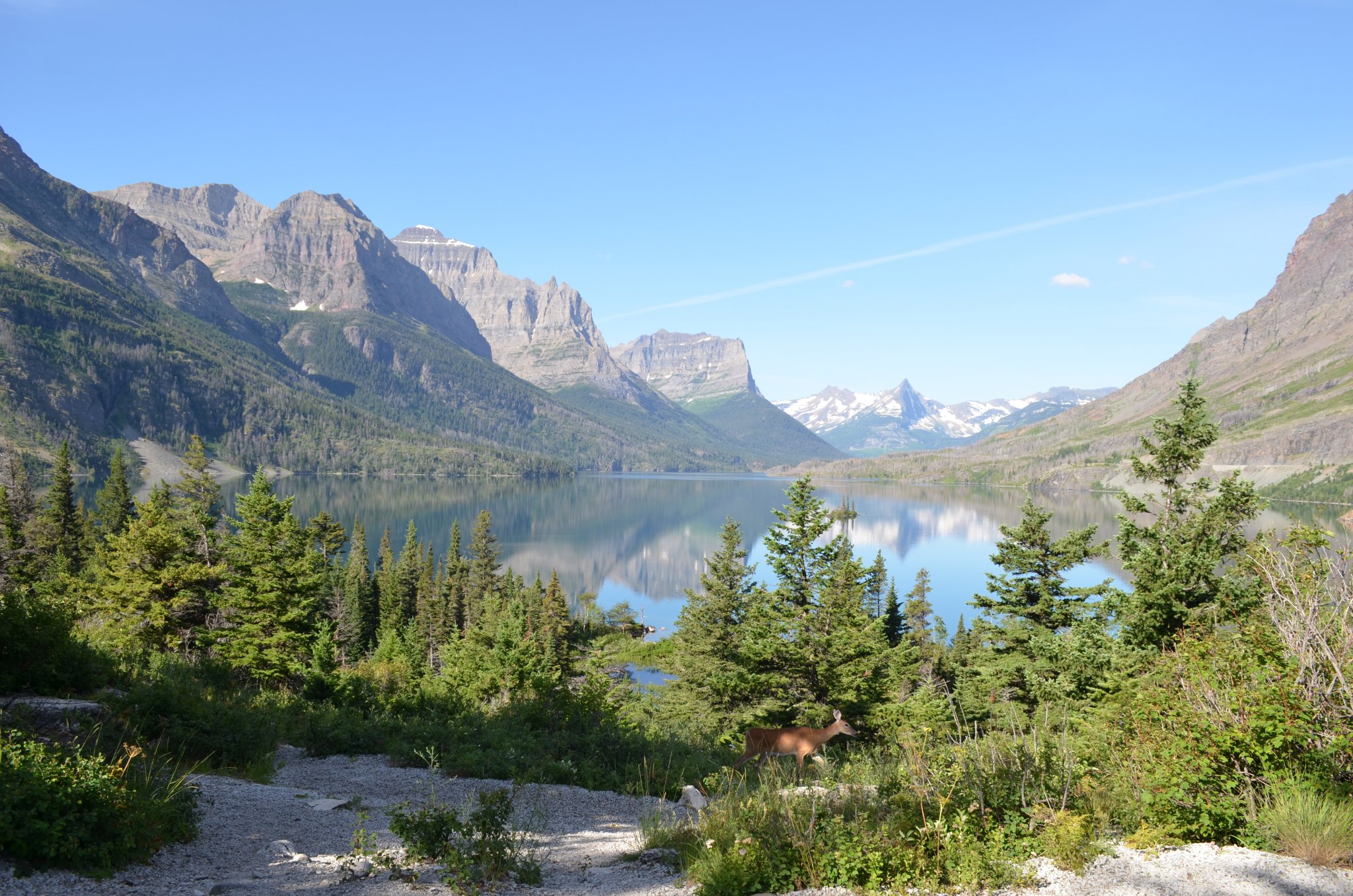 DSC_0287.JPG