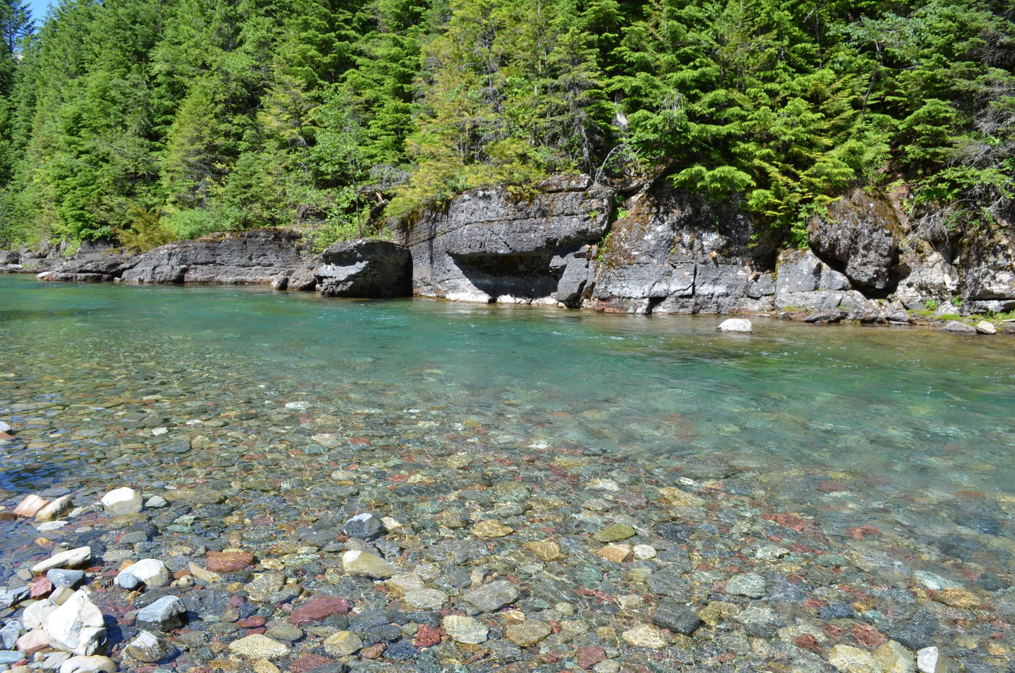 DSC_0325.JPG