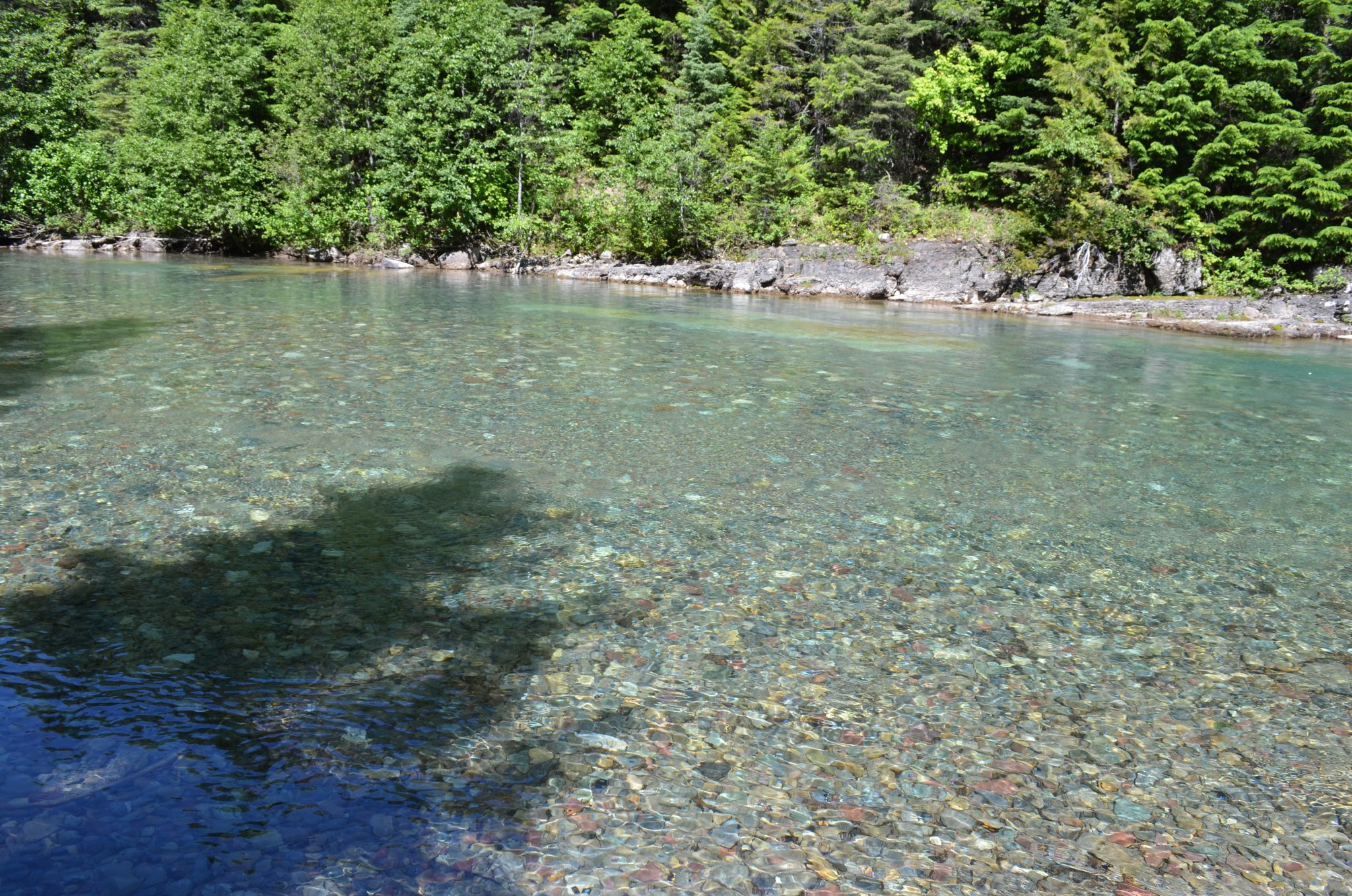 DSC_0328.JPG