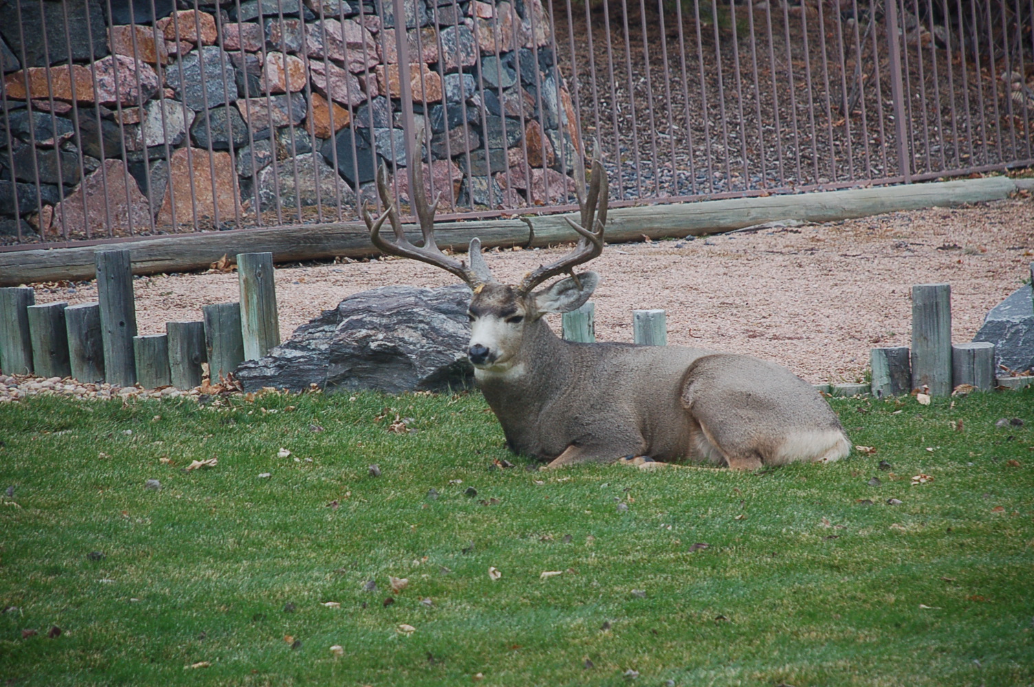 DSC_0647.JPG