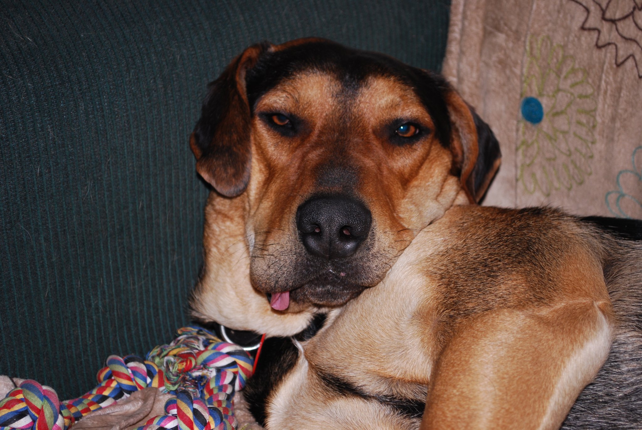 DSC_0727.JPG
