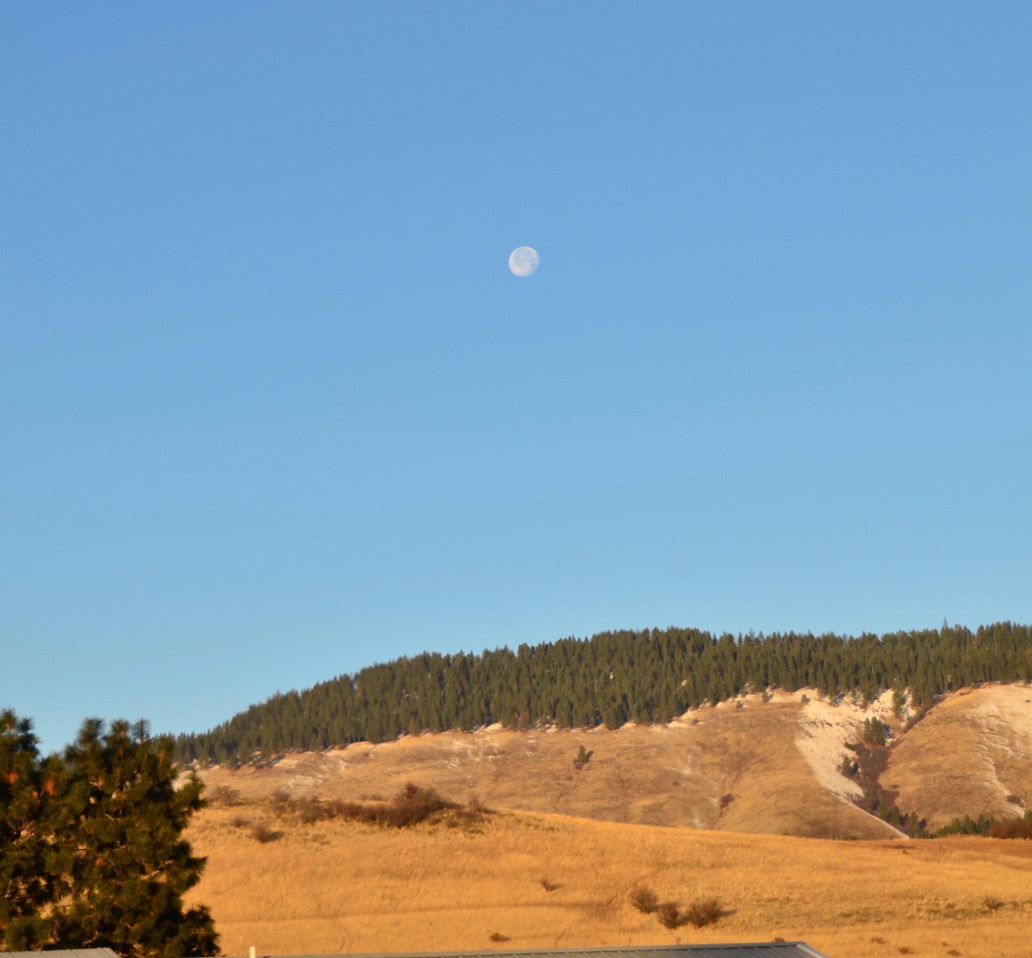 DSC_1958.jpg