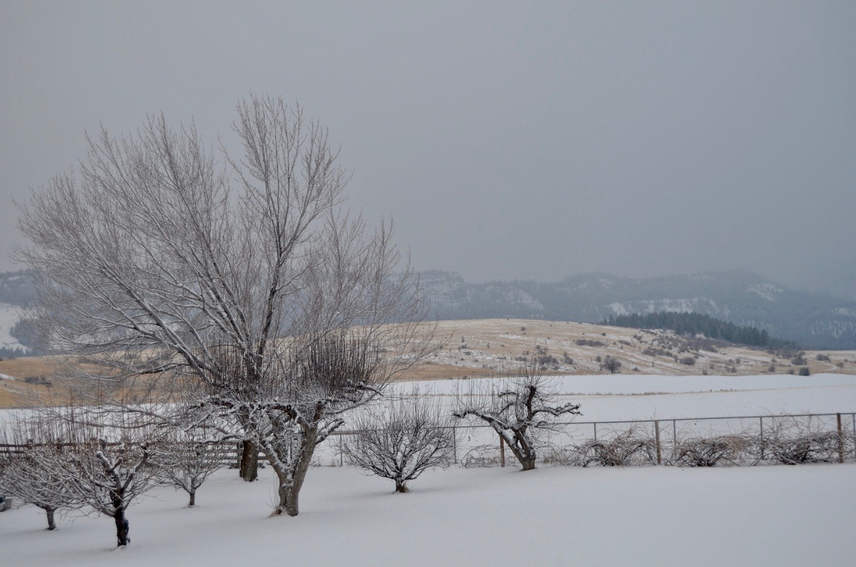 DSC_1962.jpg