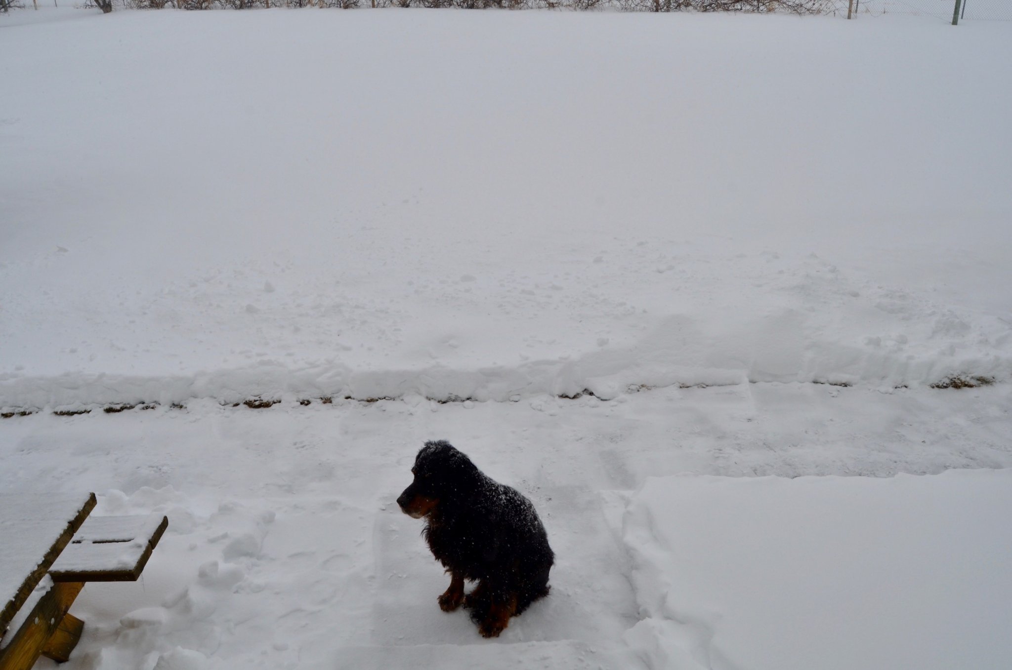 DSC_1966.jpg