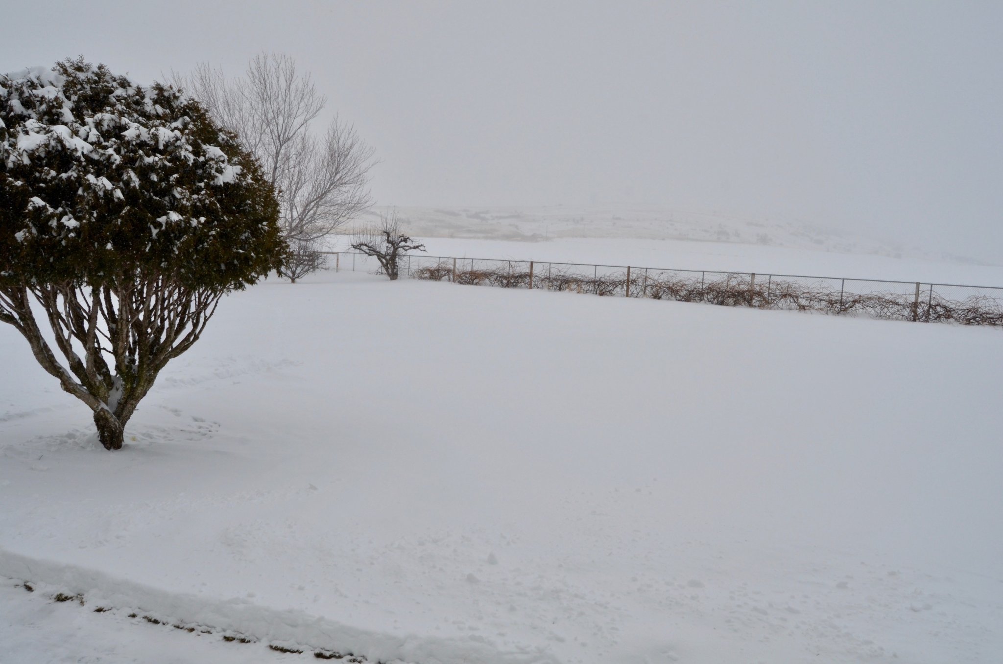 DSC_1967.jpg