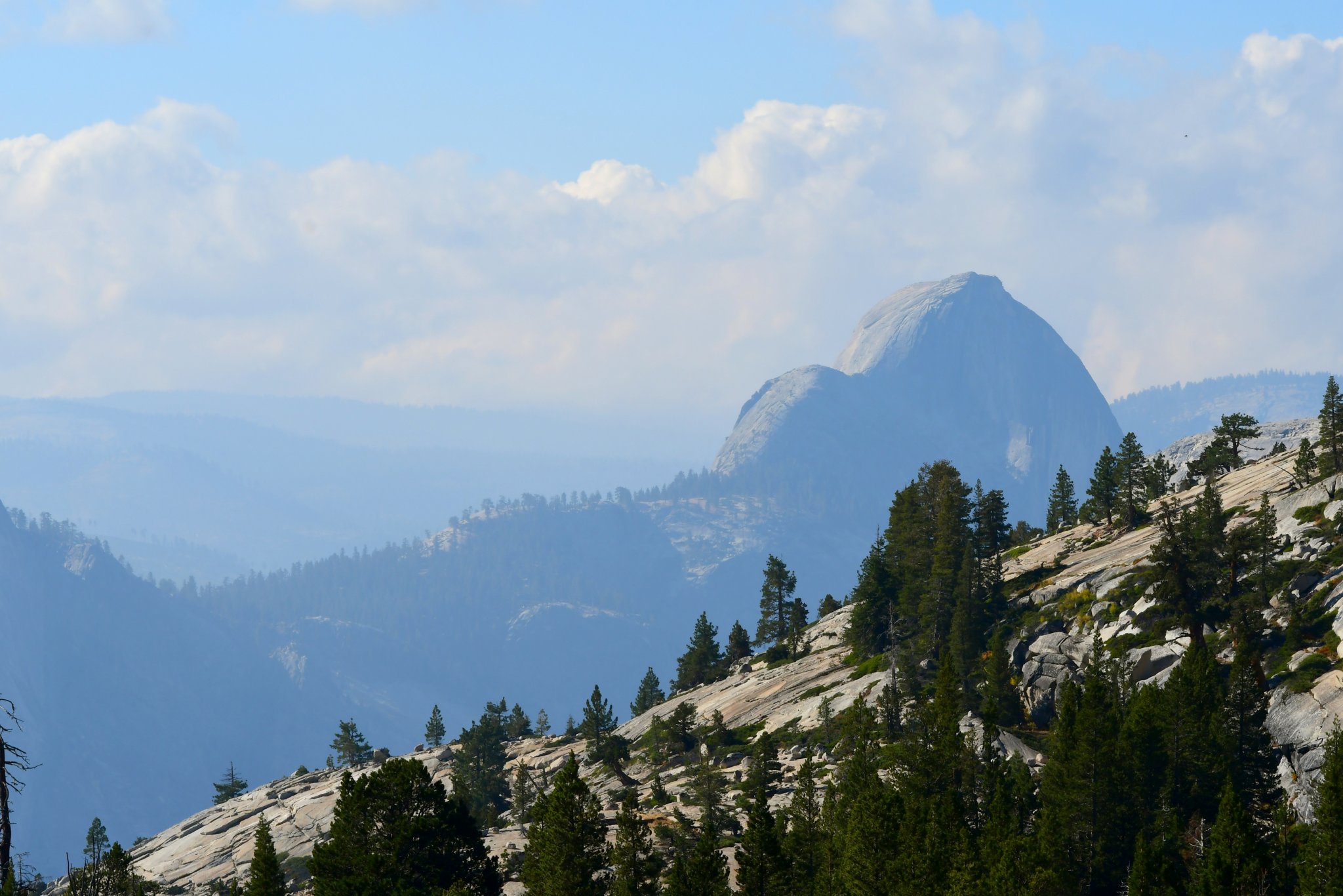 DSC_2070.JPG