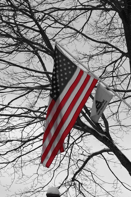 DSCF0032[1].JPG