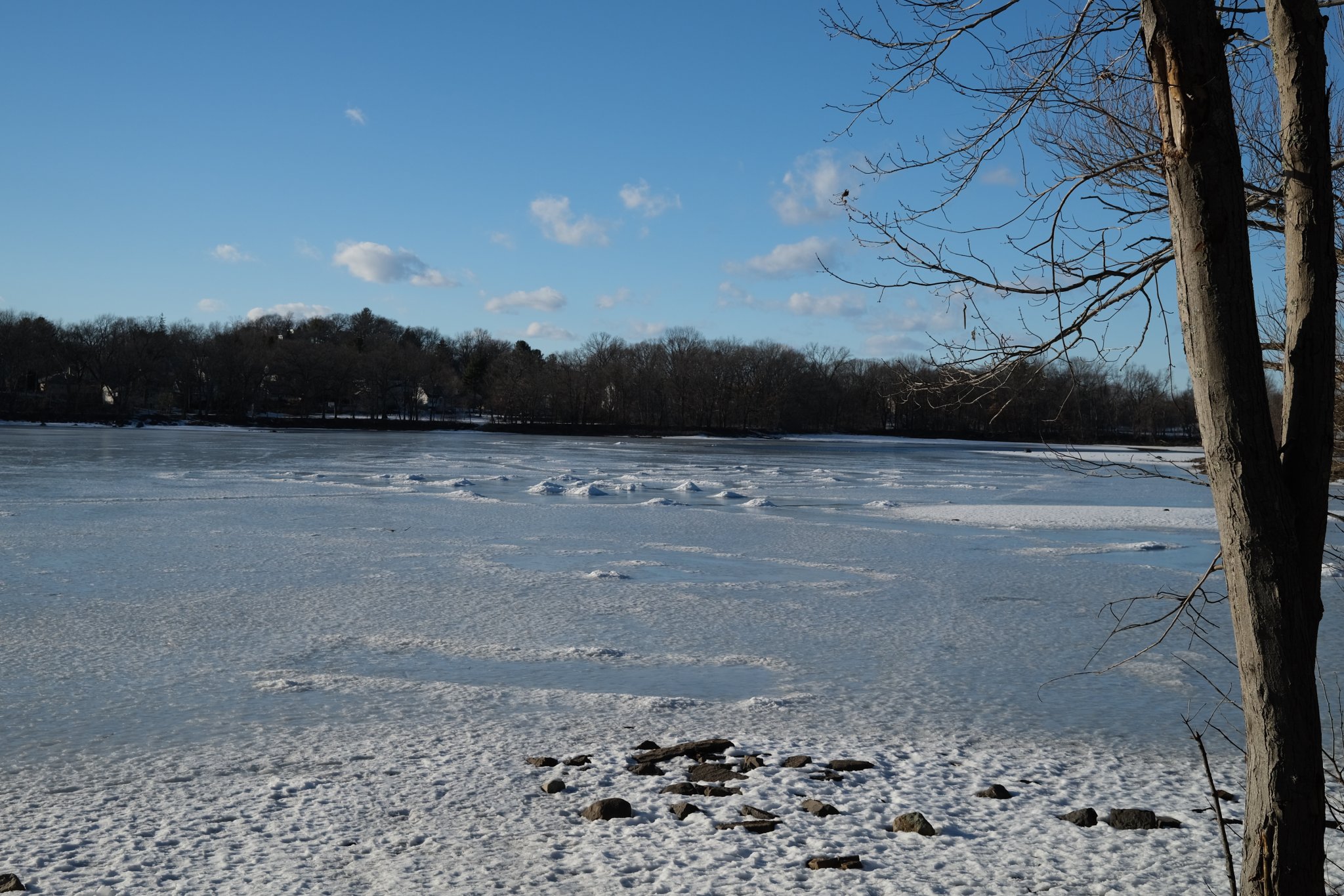 DSCF0060[1].JPG
