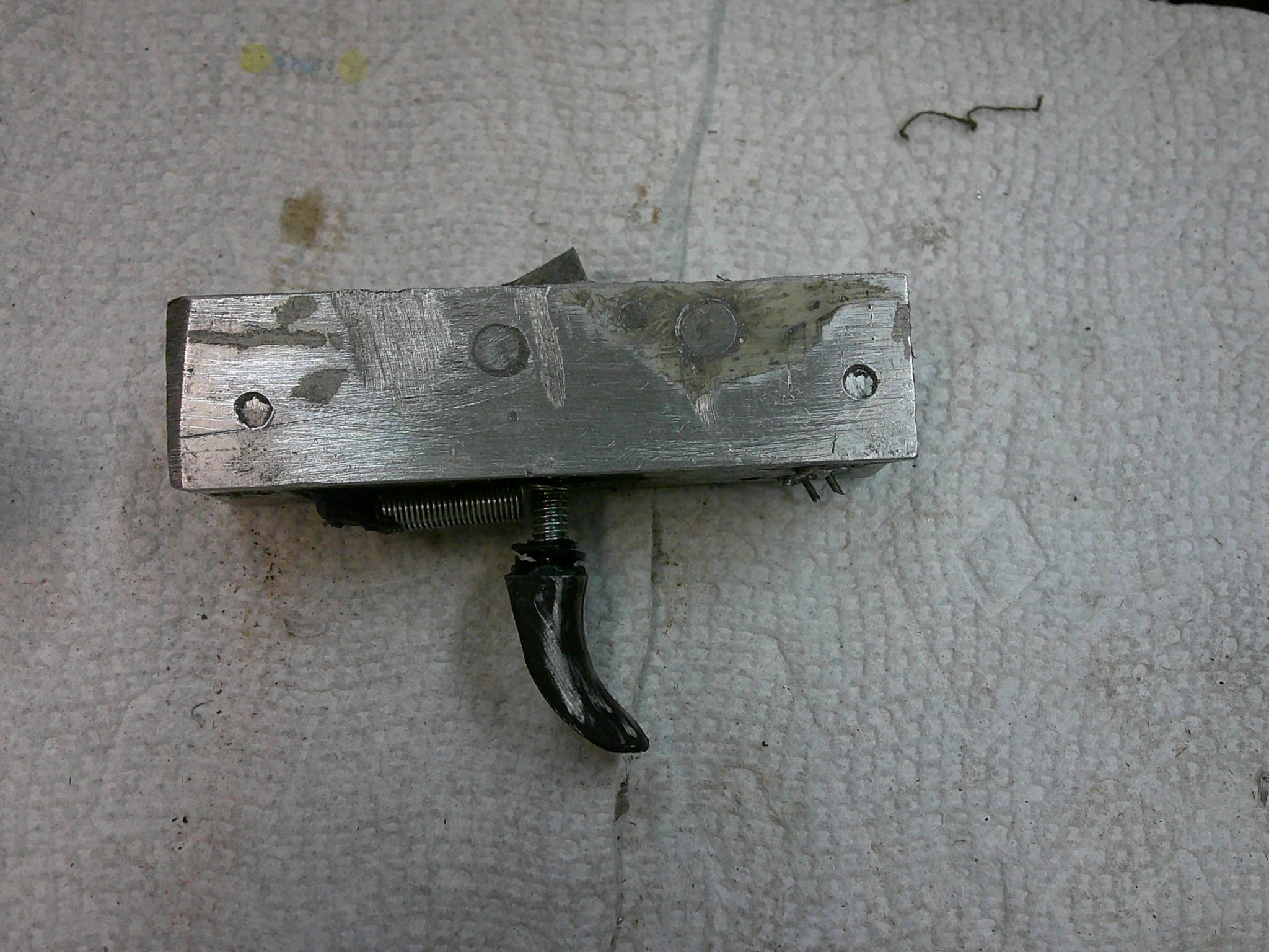 DSCF0545.JPG