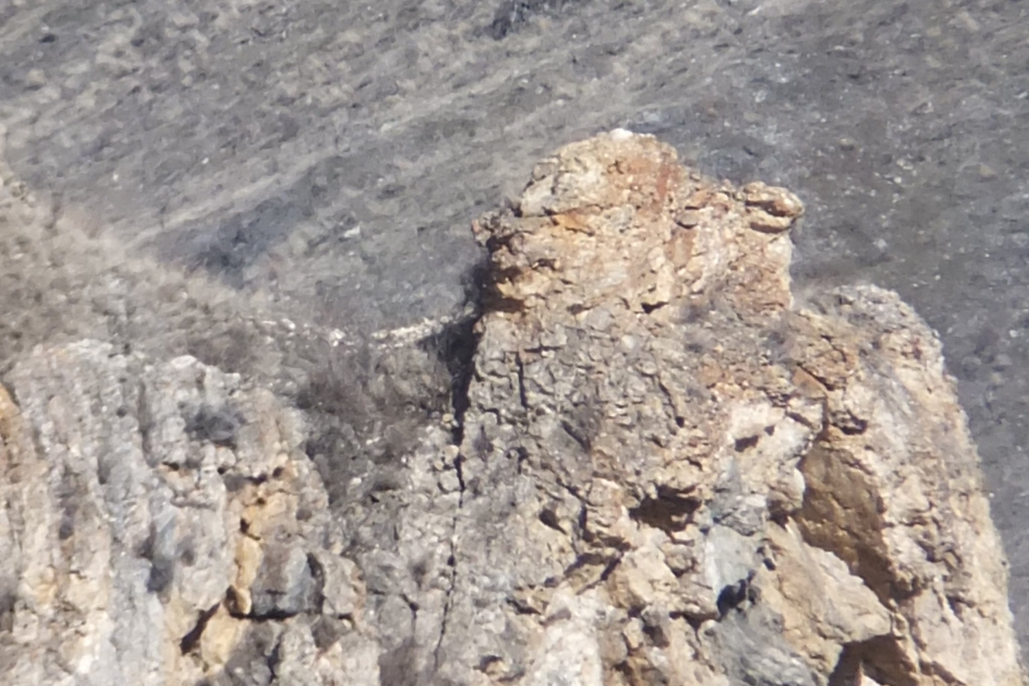 DSCF0877.JPG