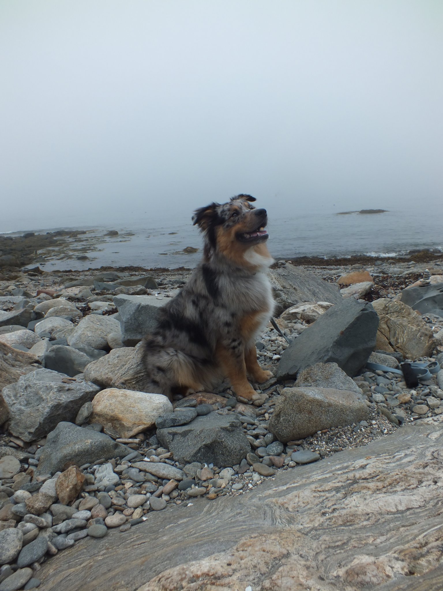 DSCF6214.JPG