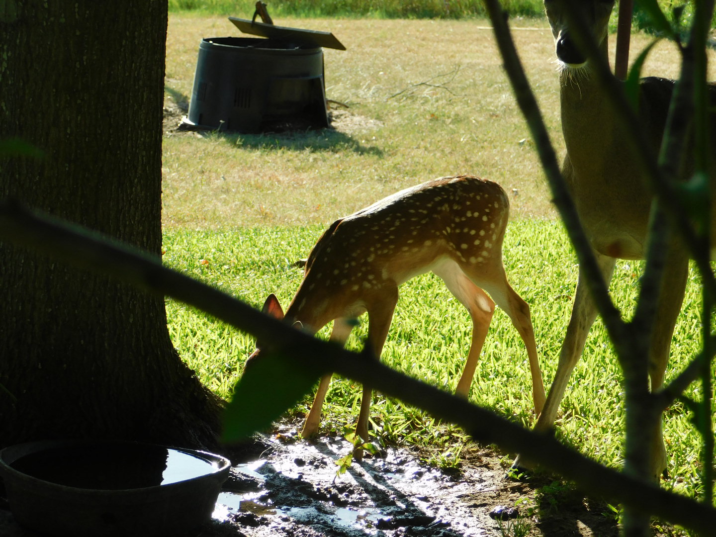 DSCN0030_1.JPG