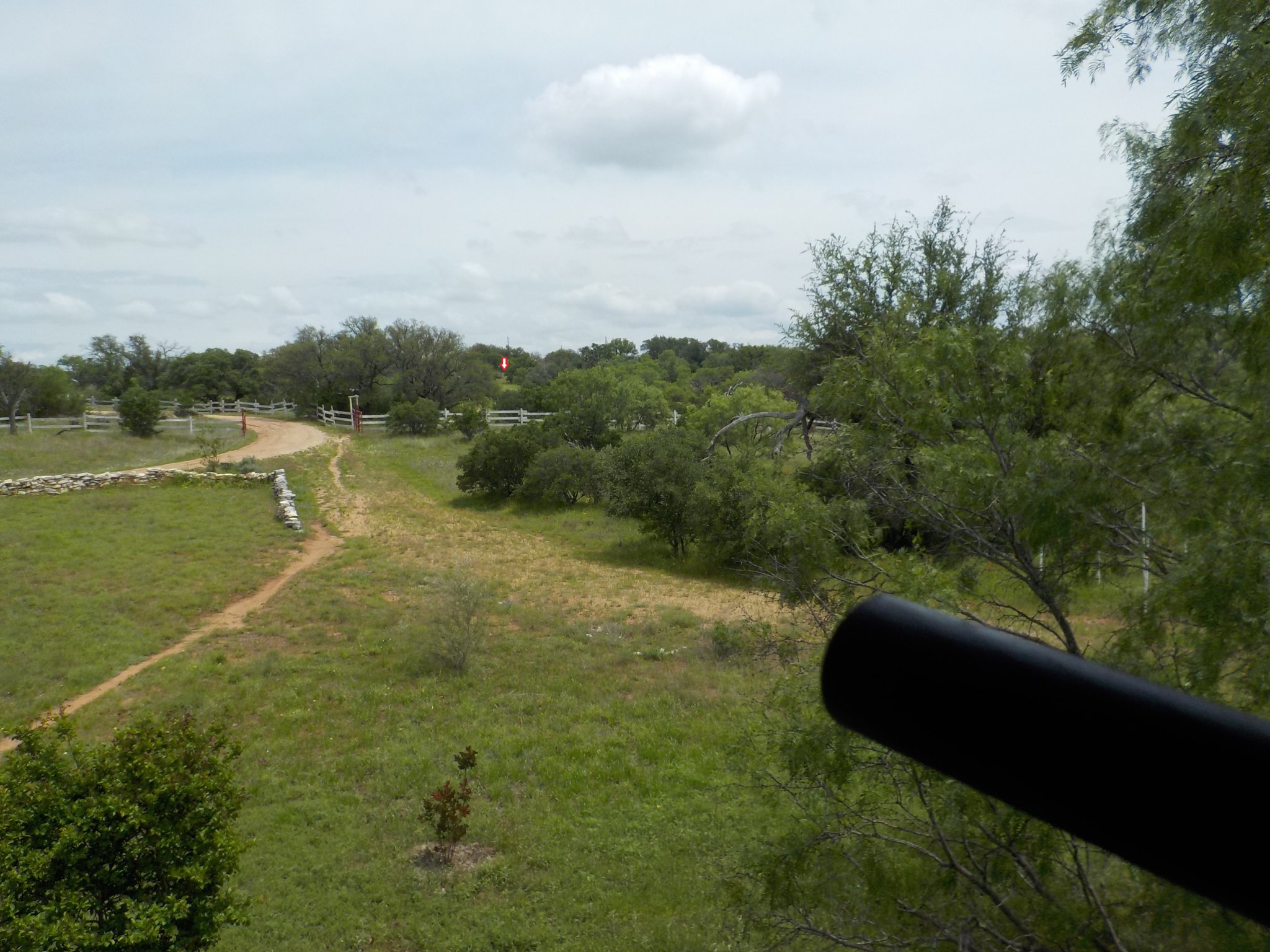 DSCN0095.JPG