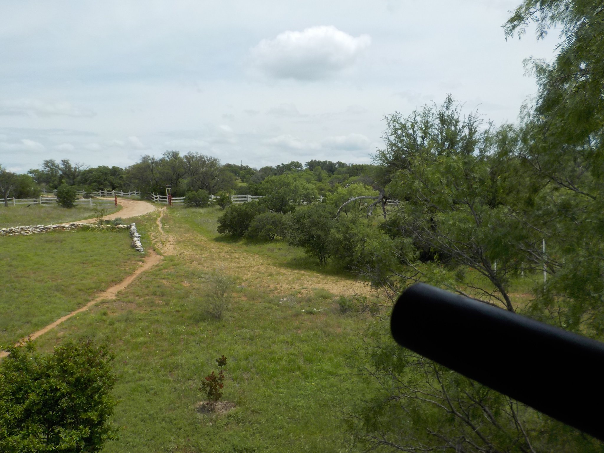 DSCN0095.JPG