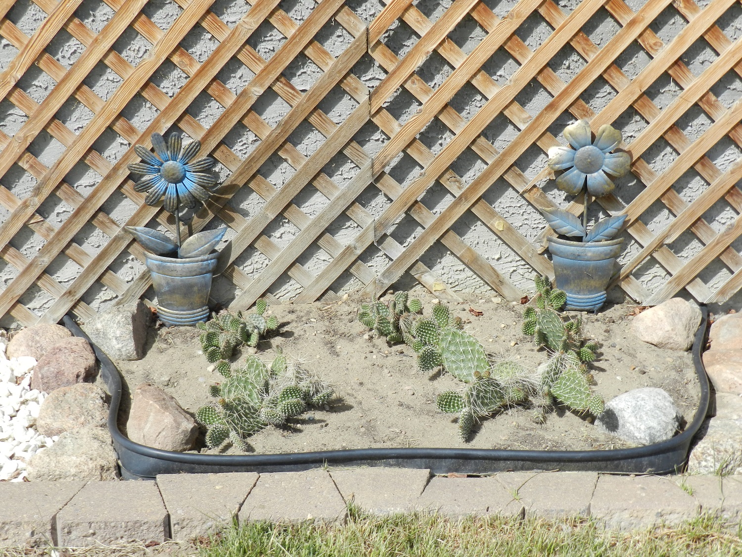 DSCN1325.jpg