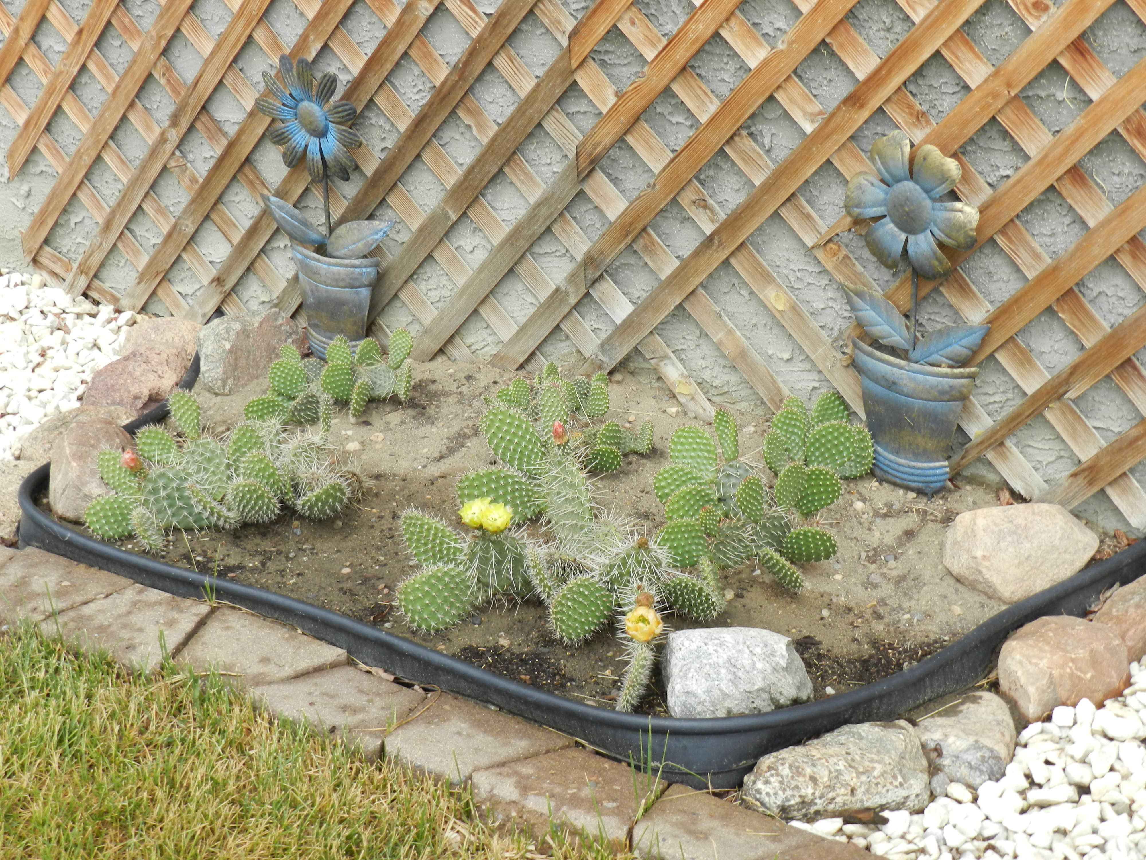 DSCN1411.JPG