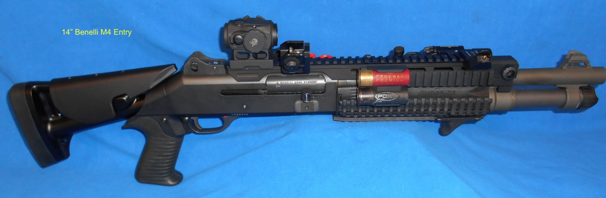 DSCN2164a copy 2Benelli 14" Entry copy.jpg