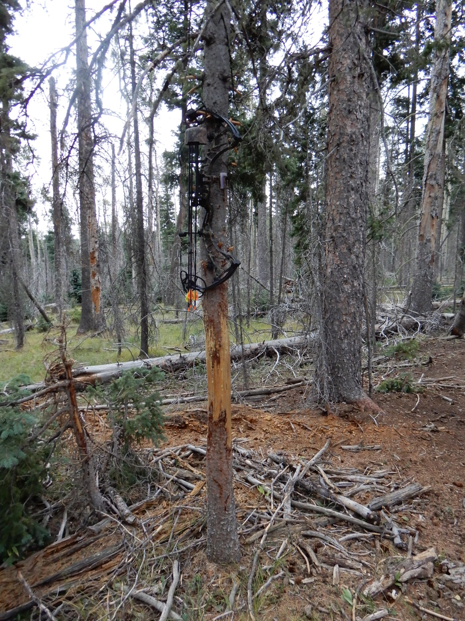 DSCN2194.JPG