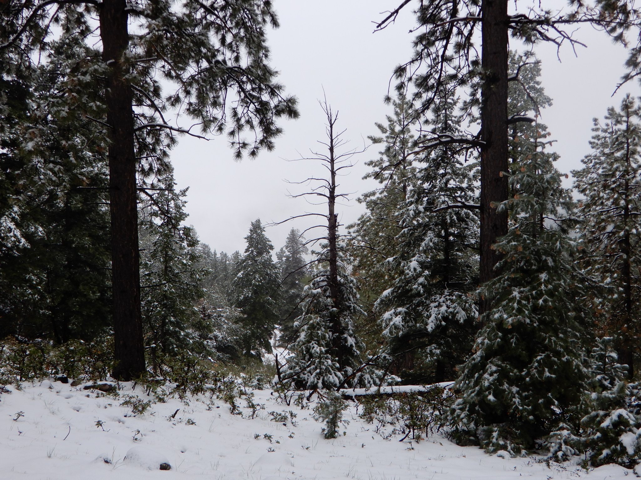 DSCN2208.JPG