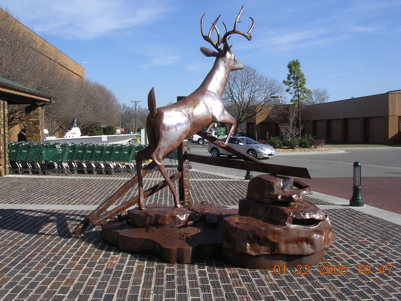 DSCN2334.JPG