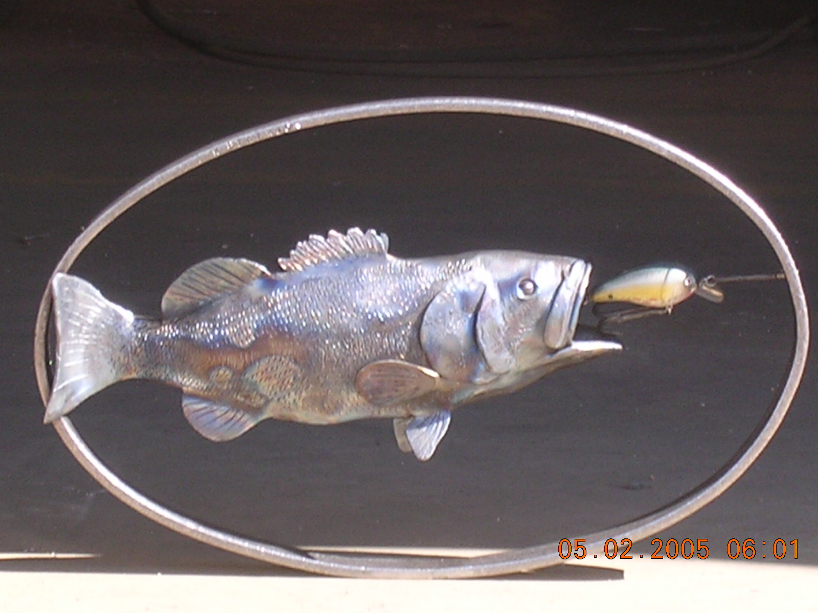 DSCN2473.JPG