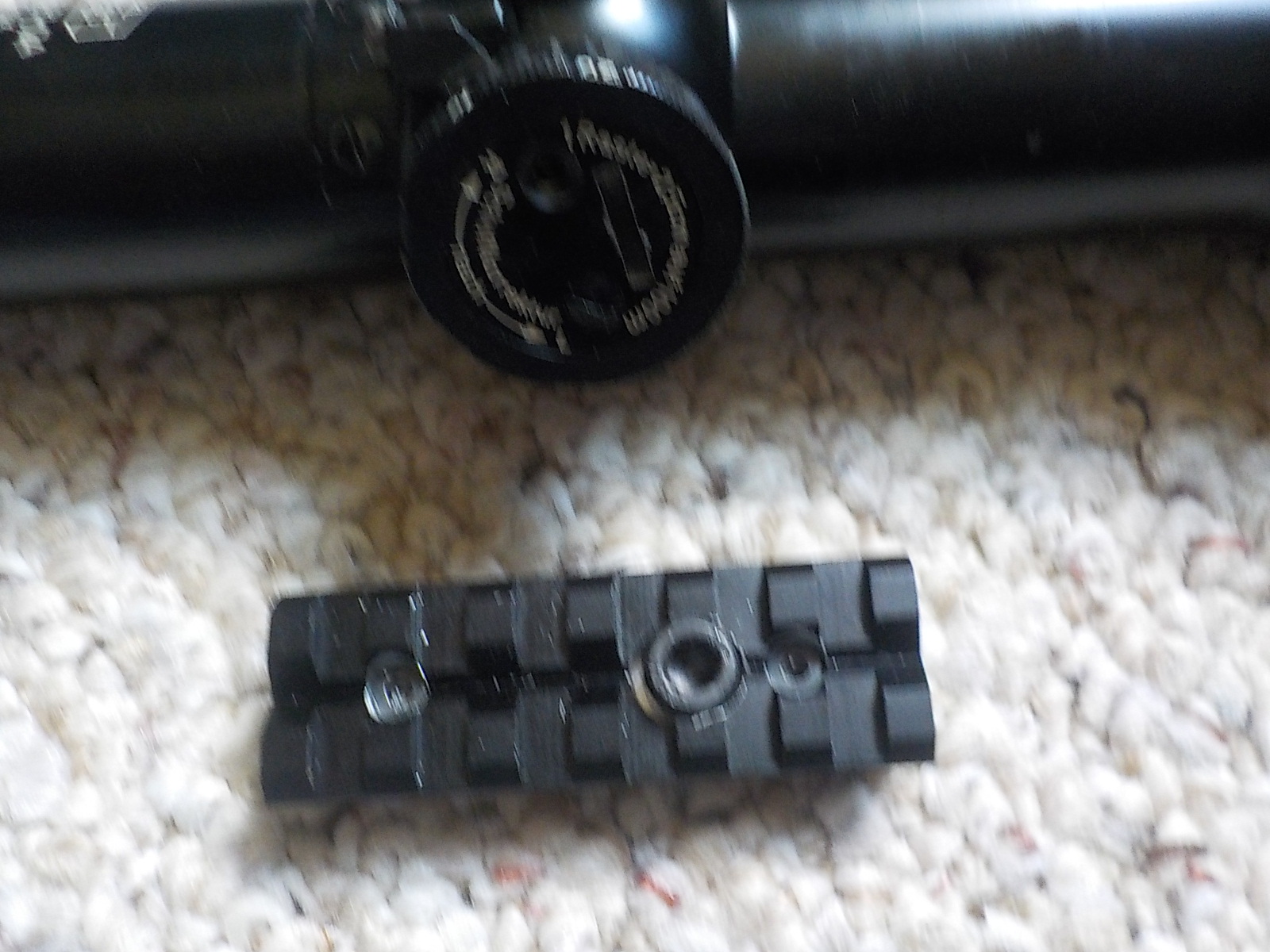 DSCN3454.JPG