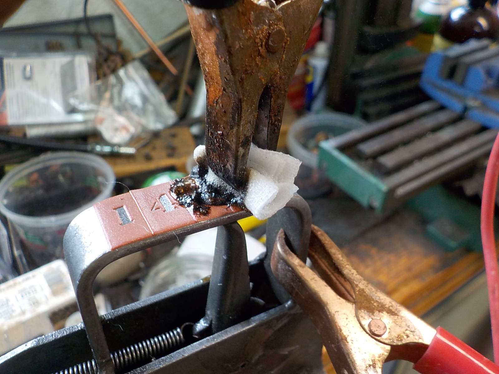DSCN4138.JPG