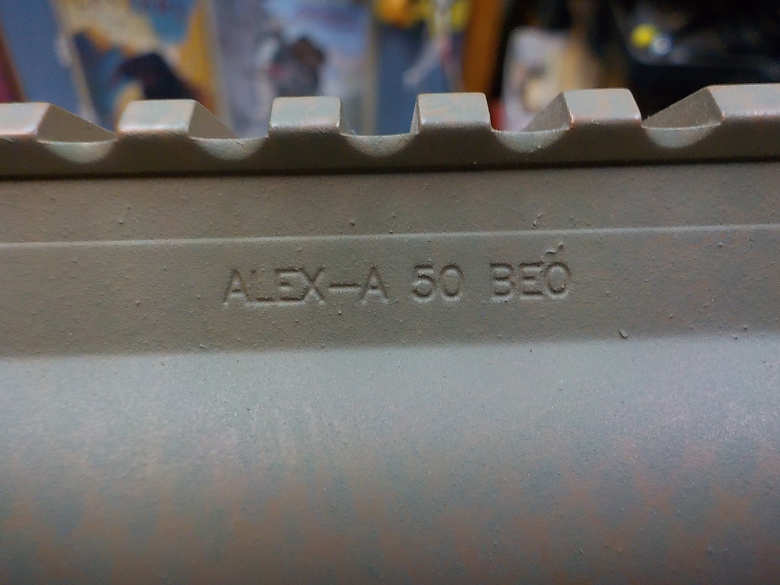 DSCN4224.JPG