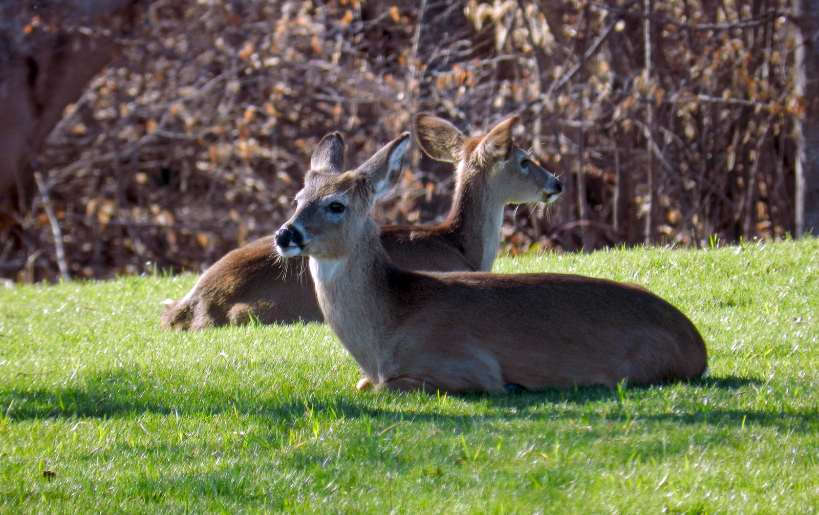 DSCN6551.jpg