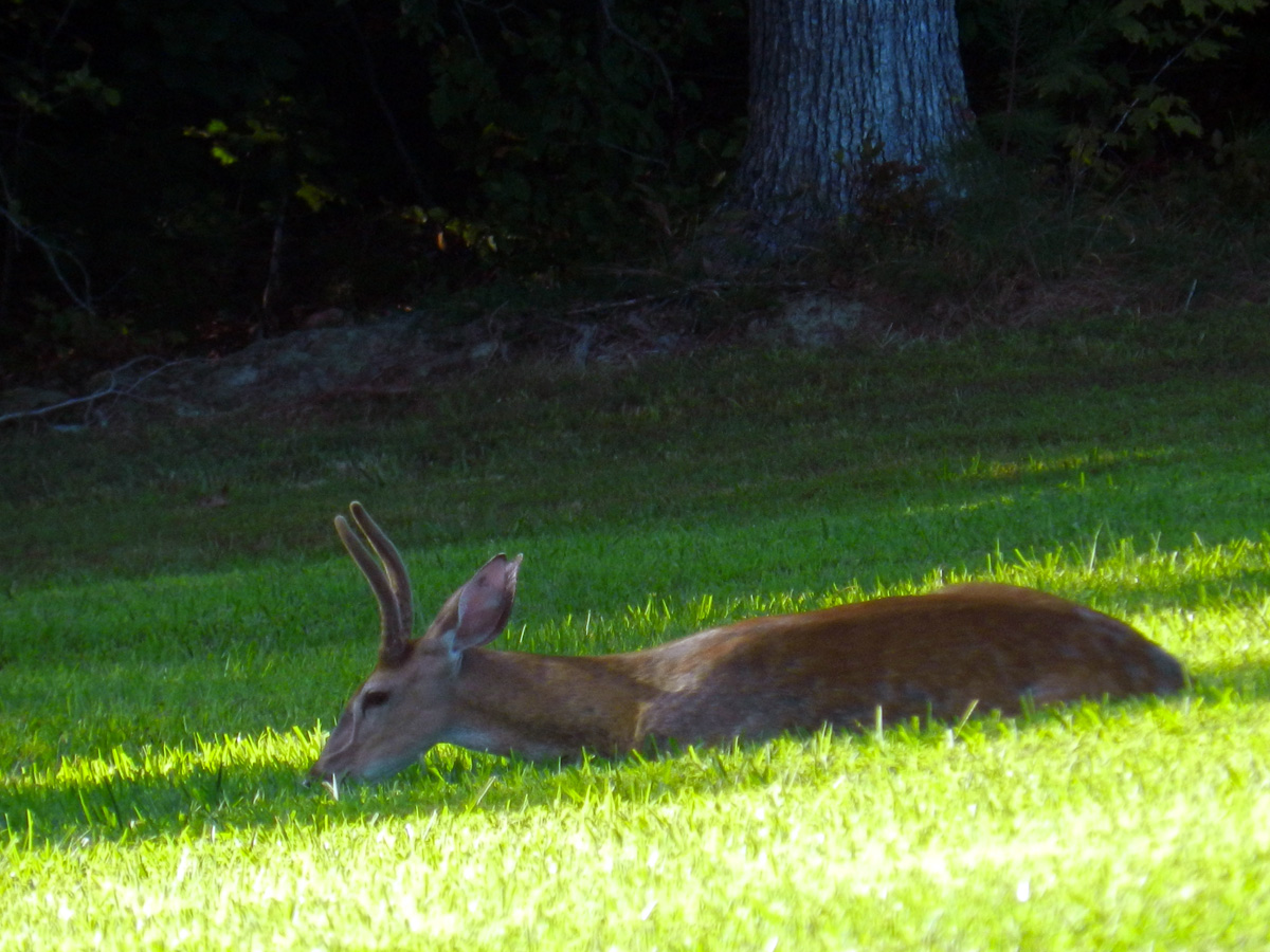 DSCN6798.jpg