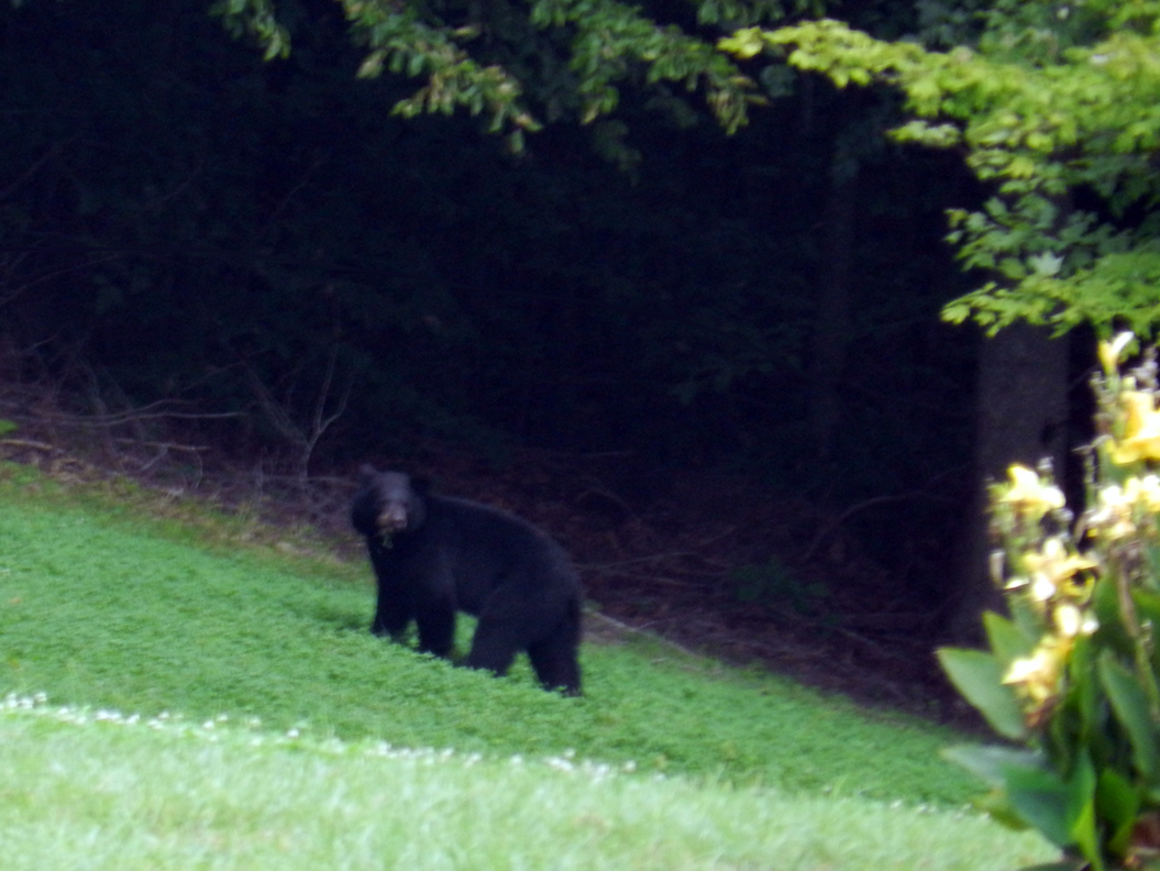 DSCN8953.jpg