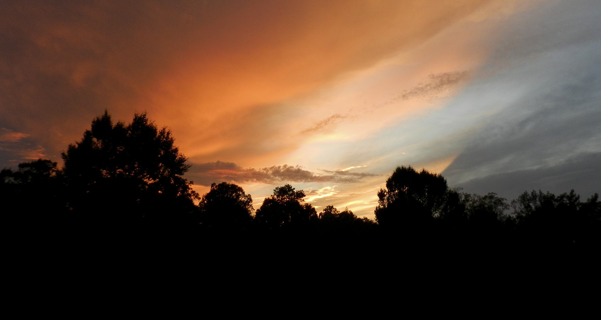 DSCN9459.jpg