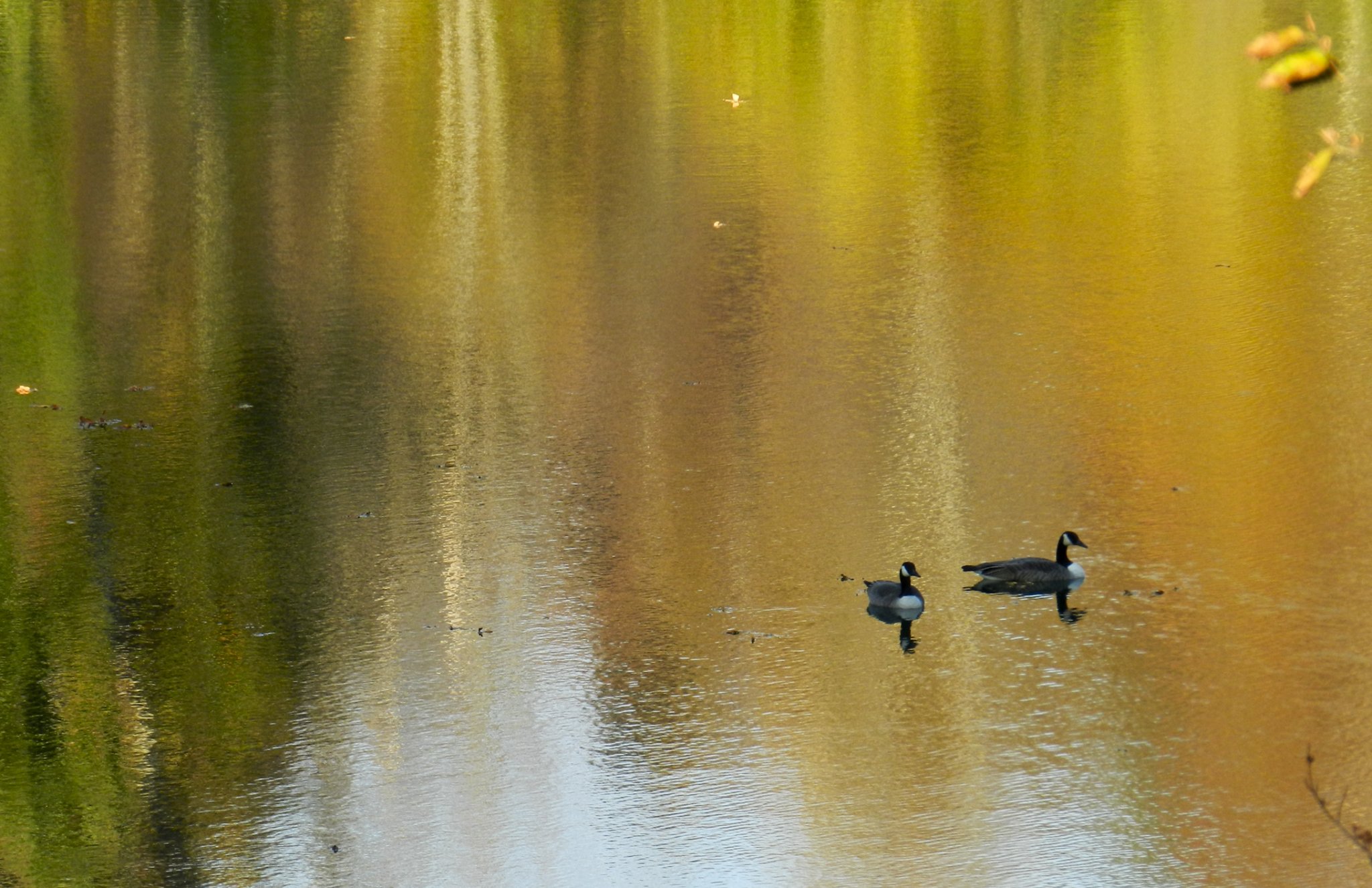 DSCN9814.jpg