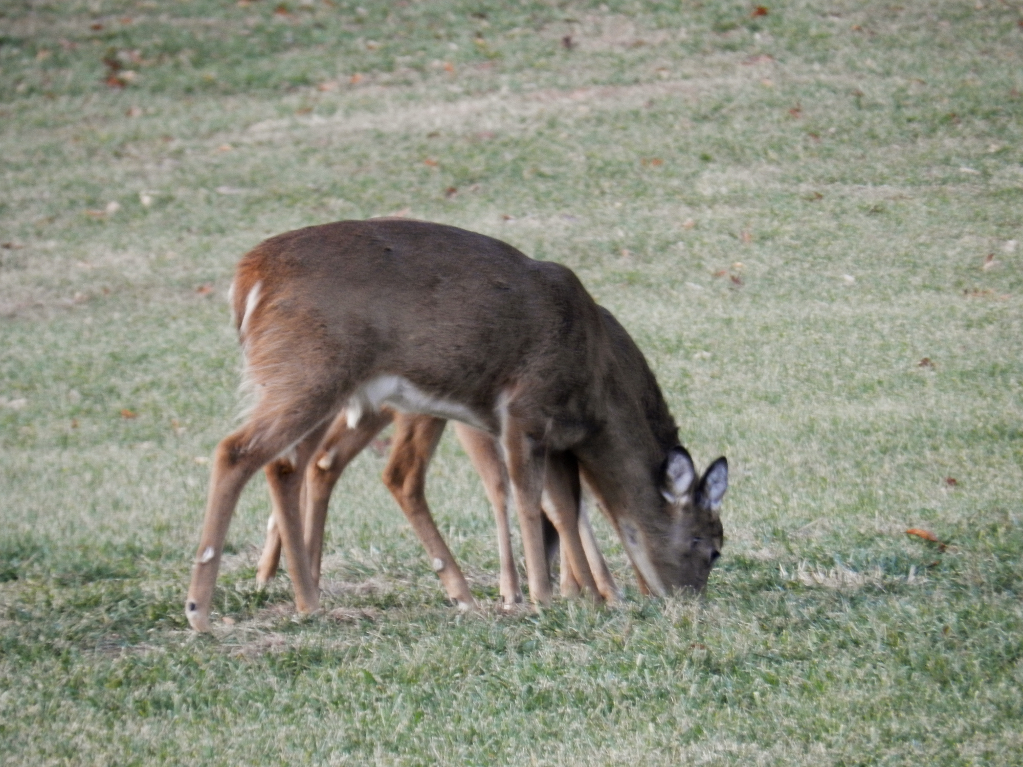 DSCN9891.jpg